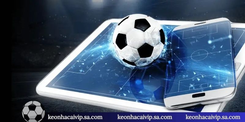 3 chú ý trong cách chia vốn đánh kèo nhà cái