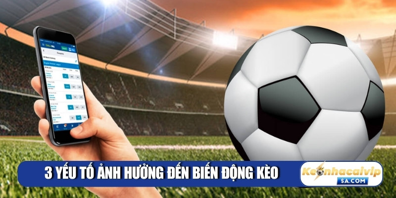 3 yếu tố ảnh hưởng đến biến động kèo